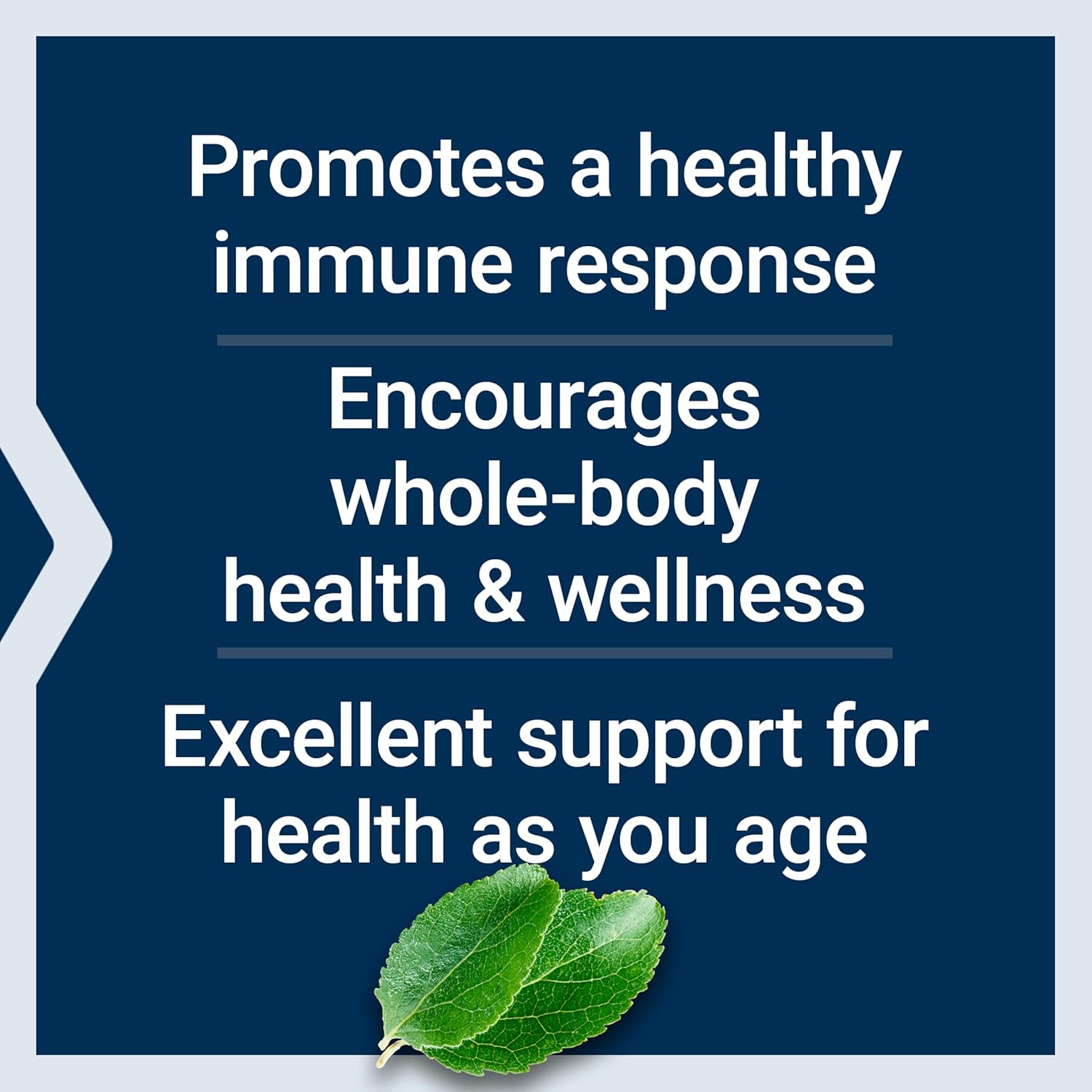 Black Cumin Seed Oil Softgels for Immune Support and Healthy Aging, 60 Count, Gluten-Free and Non-GMO