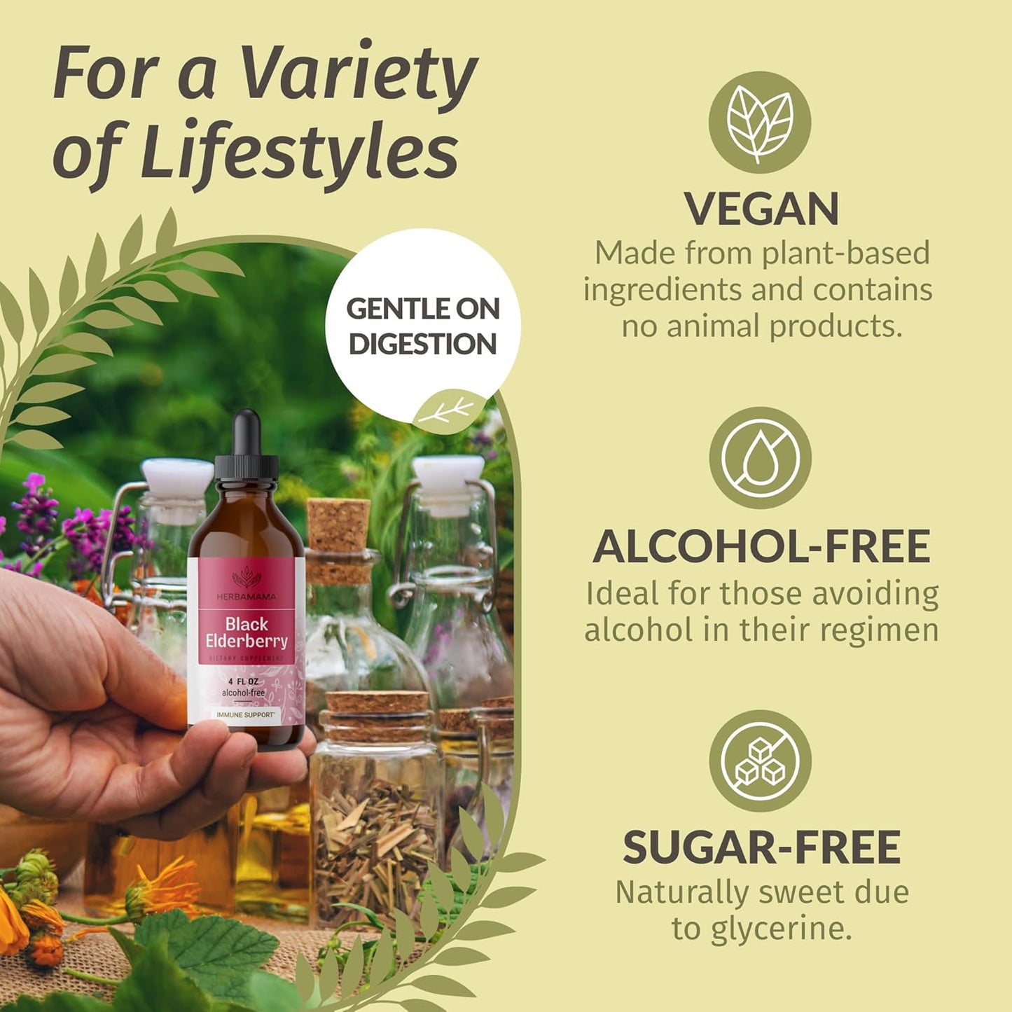 Black Elderberry Extract and Mullein Leaf Tincture Kit - 2 Pack of Herbal Liquid Drops - Vegan, Non-GMO, Sugar & Alcohol-Free - 4 fl oz each