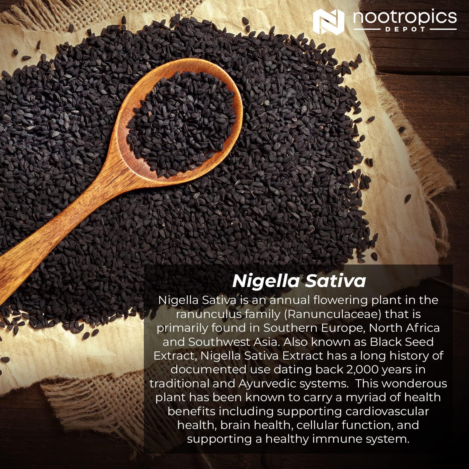 Black Seed Oil Extract Capsules | 200mg | 120 Count | 10% Thymoquinone | Brain, Memory, Liver, Immune Support - BoostGo Australia