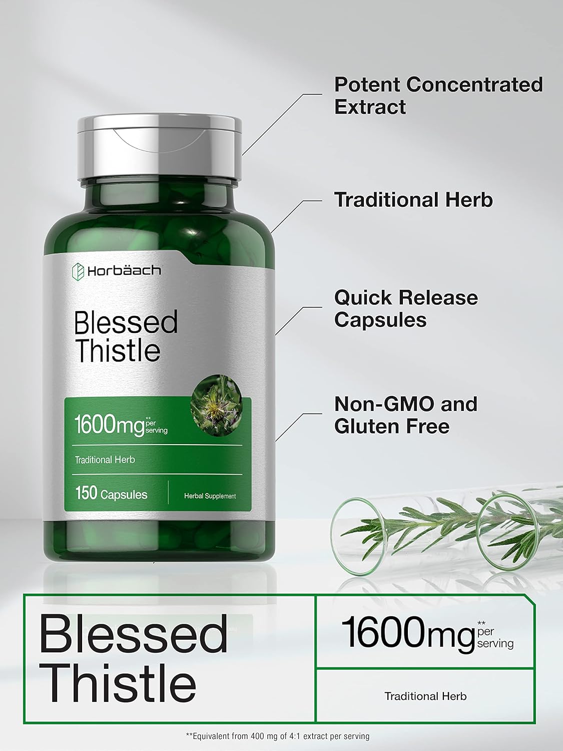 Blessed Thistle Capsules 1600mg | 150 Count | High Potency Non-GMO Gluten-Free Supplement