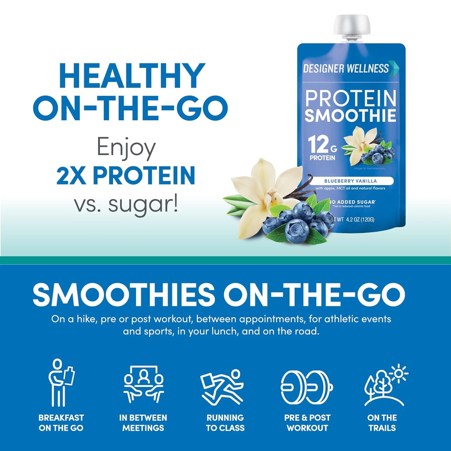 Blueberry Vanilla Designer Protein Smoothie - 12g Protein, Low Carb, No Added Sugar - Gluten-Free, Non-GMO - 12 Count