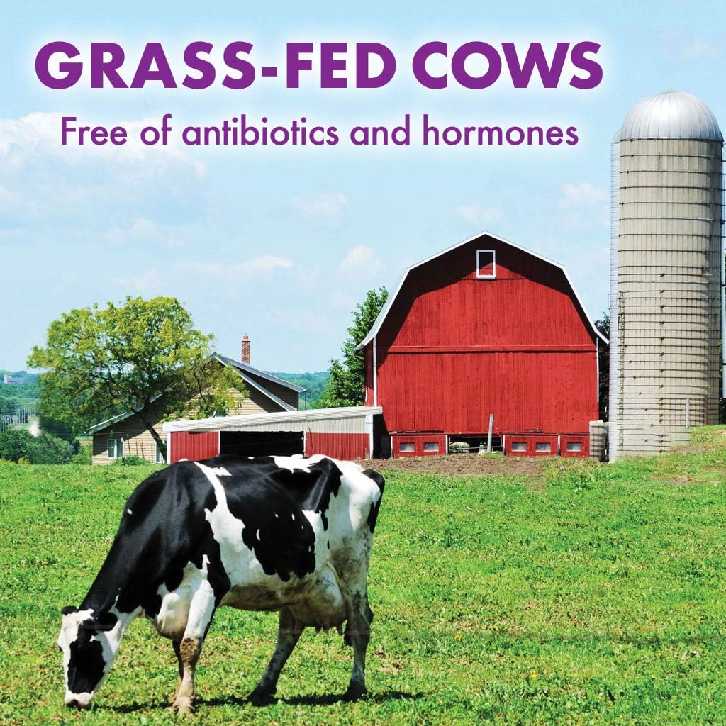BlueBonnet Nutrition Grass Fed Whey Protein Isolate Powder - French Vanilla Flavor, 26g Protein, No Sugar, Gluten & Soy Free - 2 Lbs