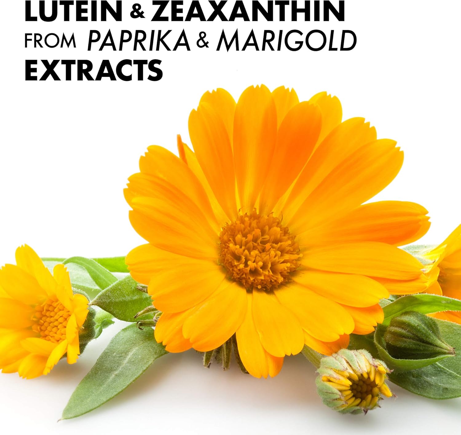 Bluebonnet Nutrition Lutein & Zeaxanthin Softgels for Eye Health, Blue Light Protection, Gluten/Soy/Milk Free, 60 Count