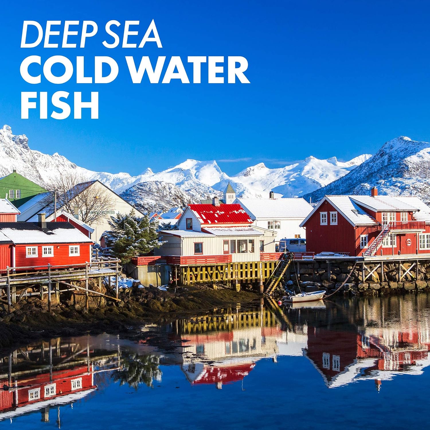 Bluebonnet Nutrition Vitamin A 10,000 IU Softgels for Eye Health & Immune Function, Gluten Free, Dairy Free