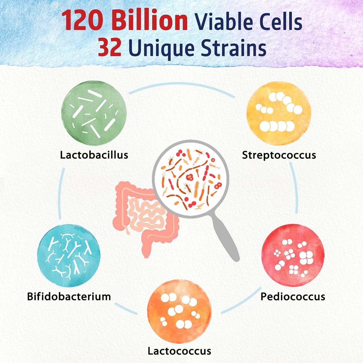 Bonawell Probiotics 120 Billion CFU 32 Strains with Prebiotics and Digestive Enzymes - 3-in-1 Daily Probiotic for Gut Health - 30 Veggie Capsules