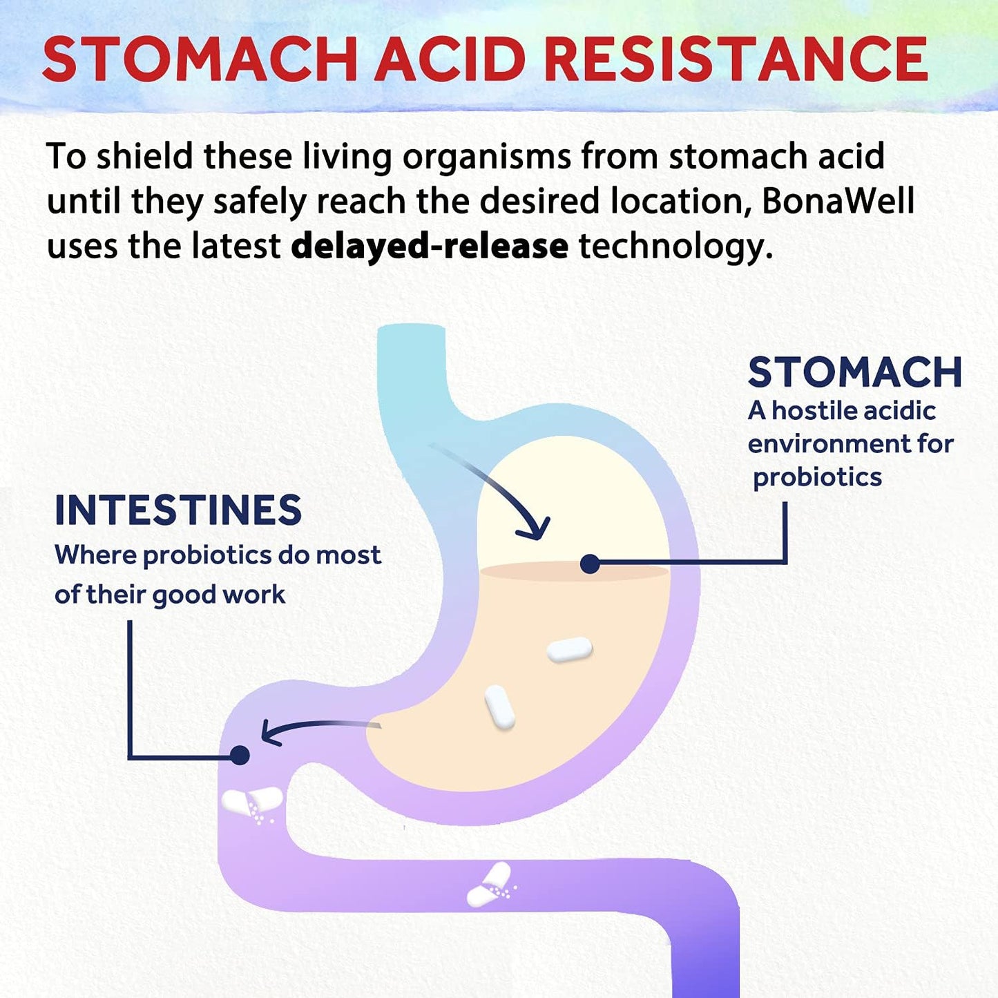 Bonawell Probiotics 120 Billion CFU 32 Strains with Prebiotics and Digestive Enzymes - 3-in-1 Daily Probiotic for Gut Health - 30 Veggie Capsules