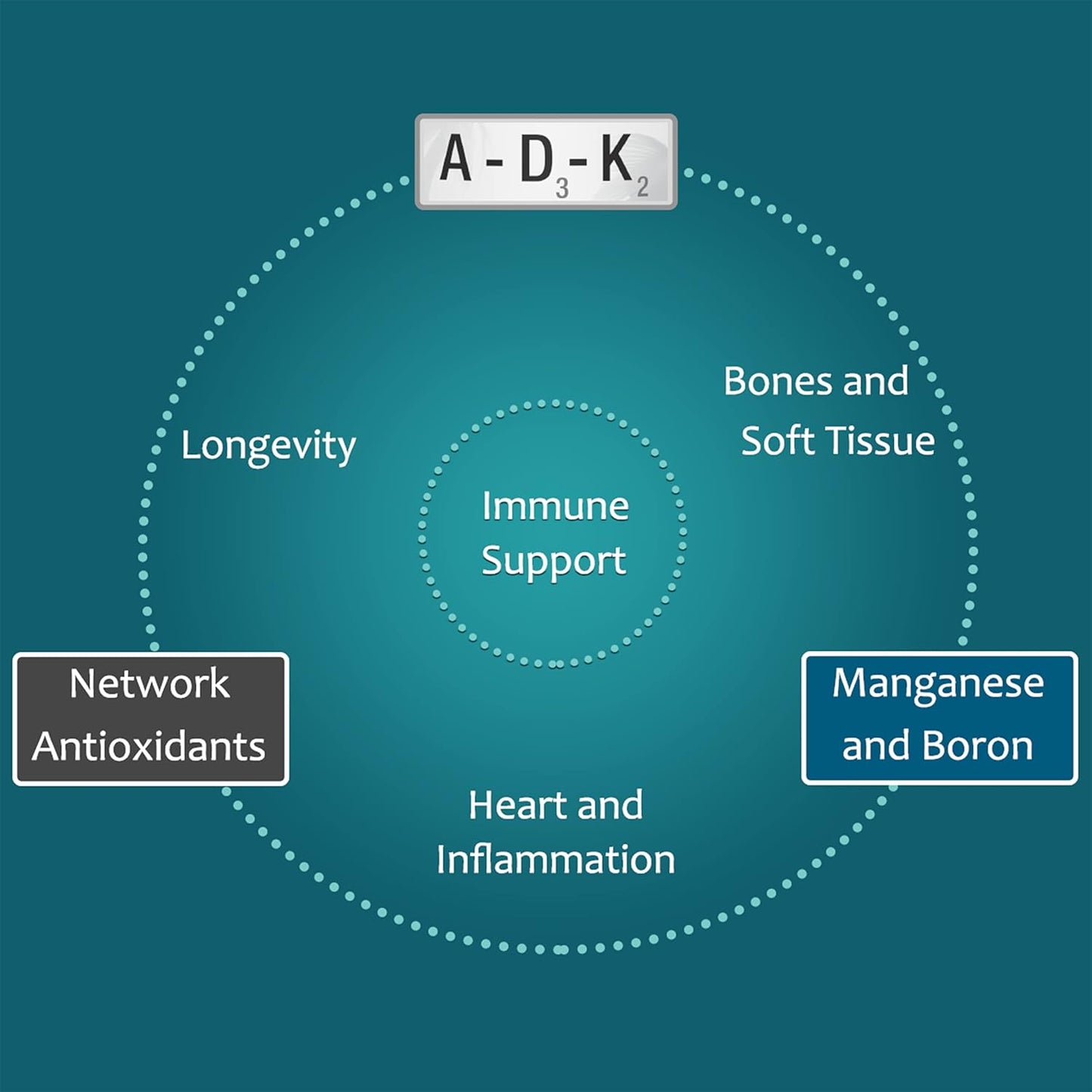 Boost Holistic Health with Zen Haus Iodine and ADK Supplement Combo