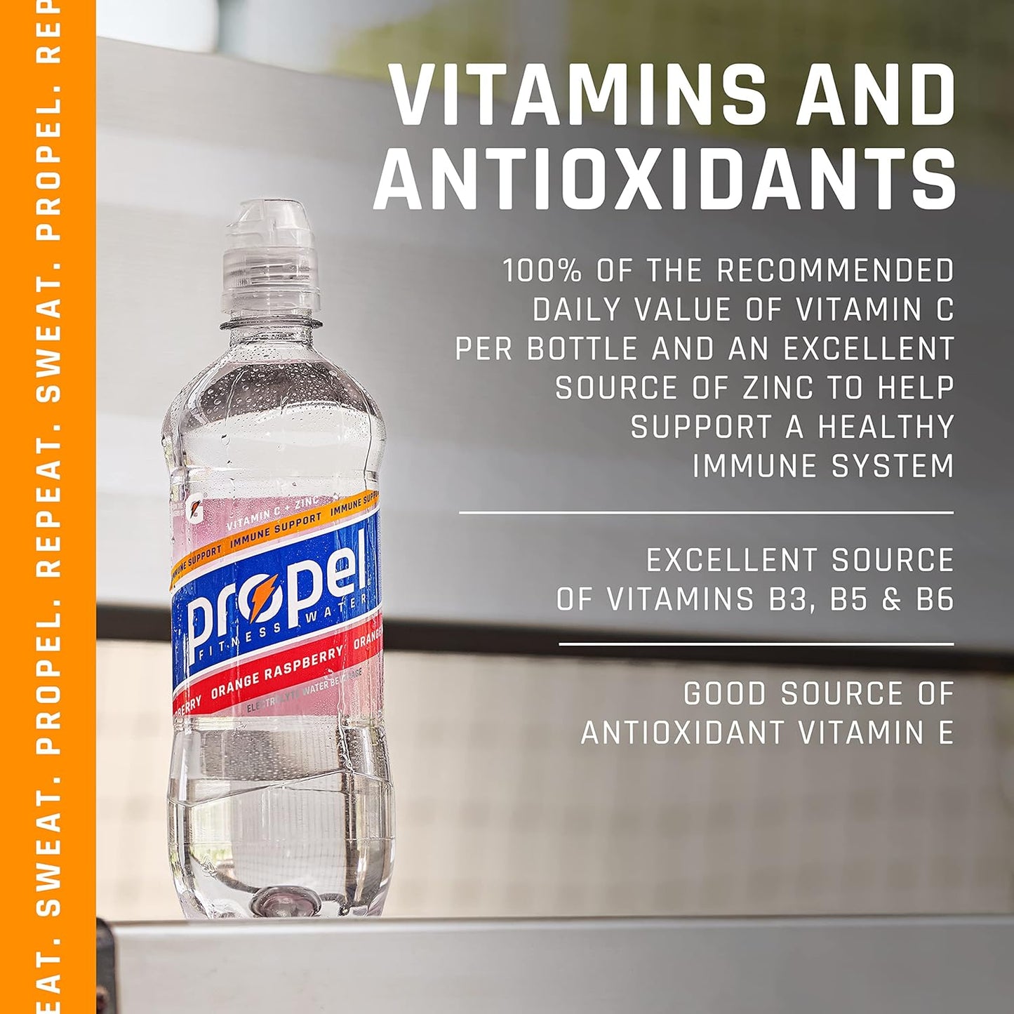 Boost Immune System with Vitamin C + Zinc, Lemon BlackBerry Drink, 24oz Bottle, 12 Pack