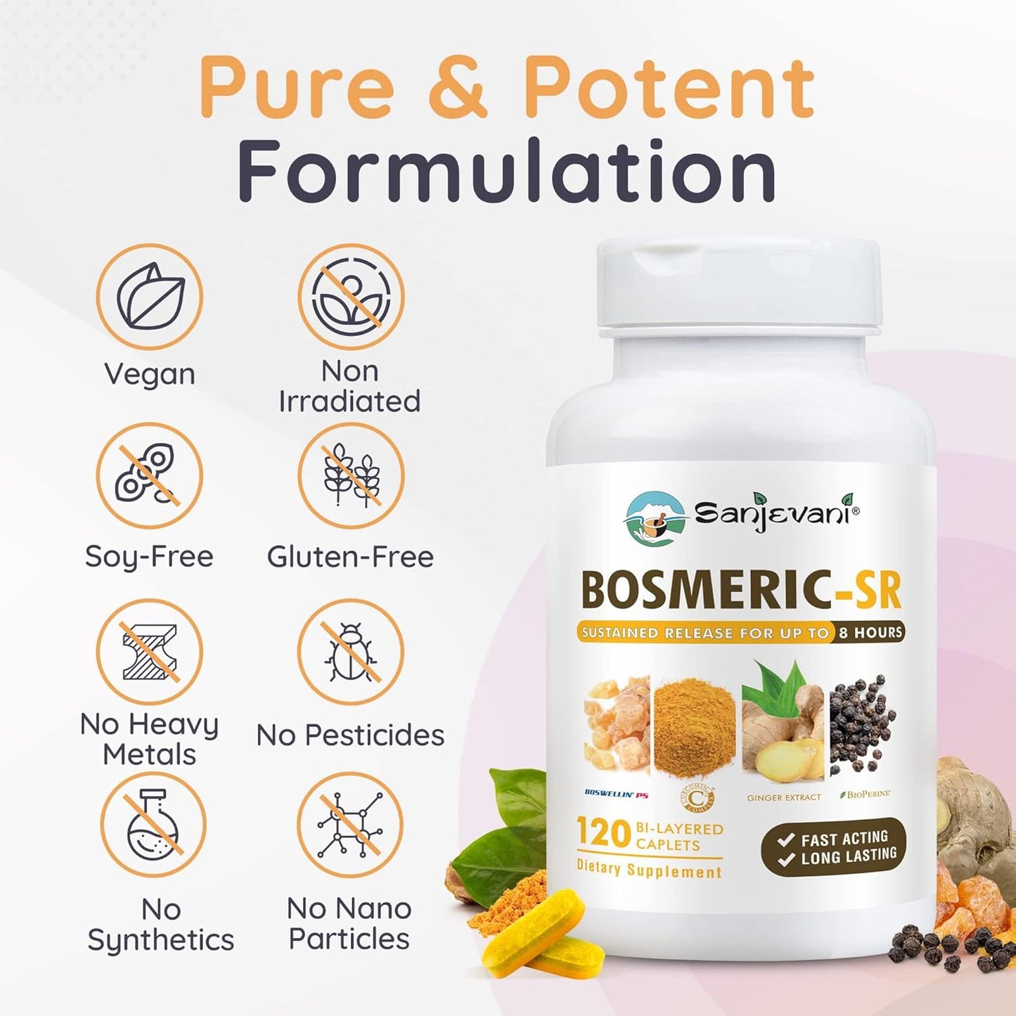 BOSMERIC-SR 8-Hour Sustained Release Joint Support Supplement with Turmeric, Boswellia, and Ginger - 120 Caplets by Sanjevani