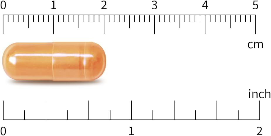 Boswellia 10:1 Extract with Curcumin 120 Vegan Capsules - 433mg Formula