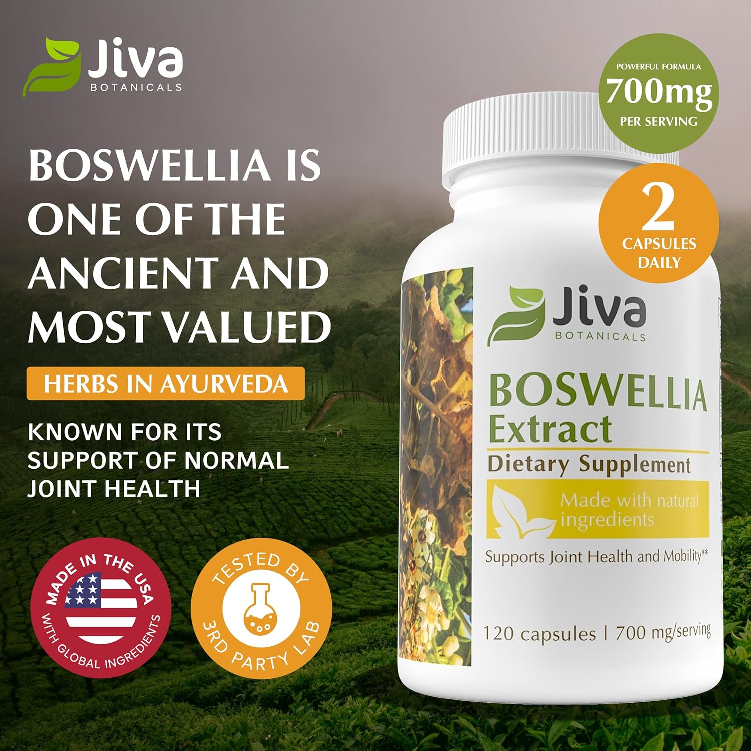 Boswellia Extract Capsules with Frankincense Powder and Bioperene - 120 Capsules by Jiva Botanicals