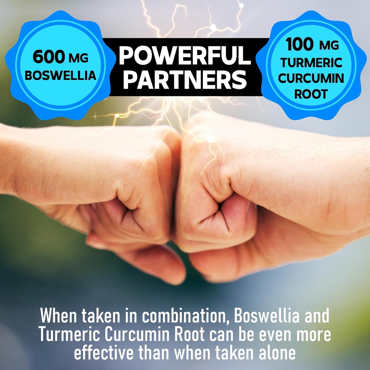 Boswellia Serrata Extract 20:1 Capsules with Turmeric, Quercetin, Citrus, Ginger, White Willow, and Alfalfa - Joint, Cartilage, and Immune Support - 120 Count