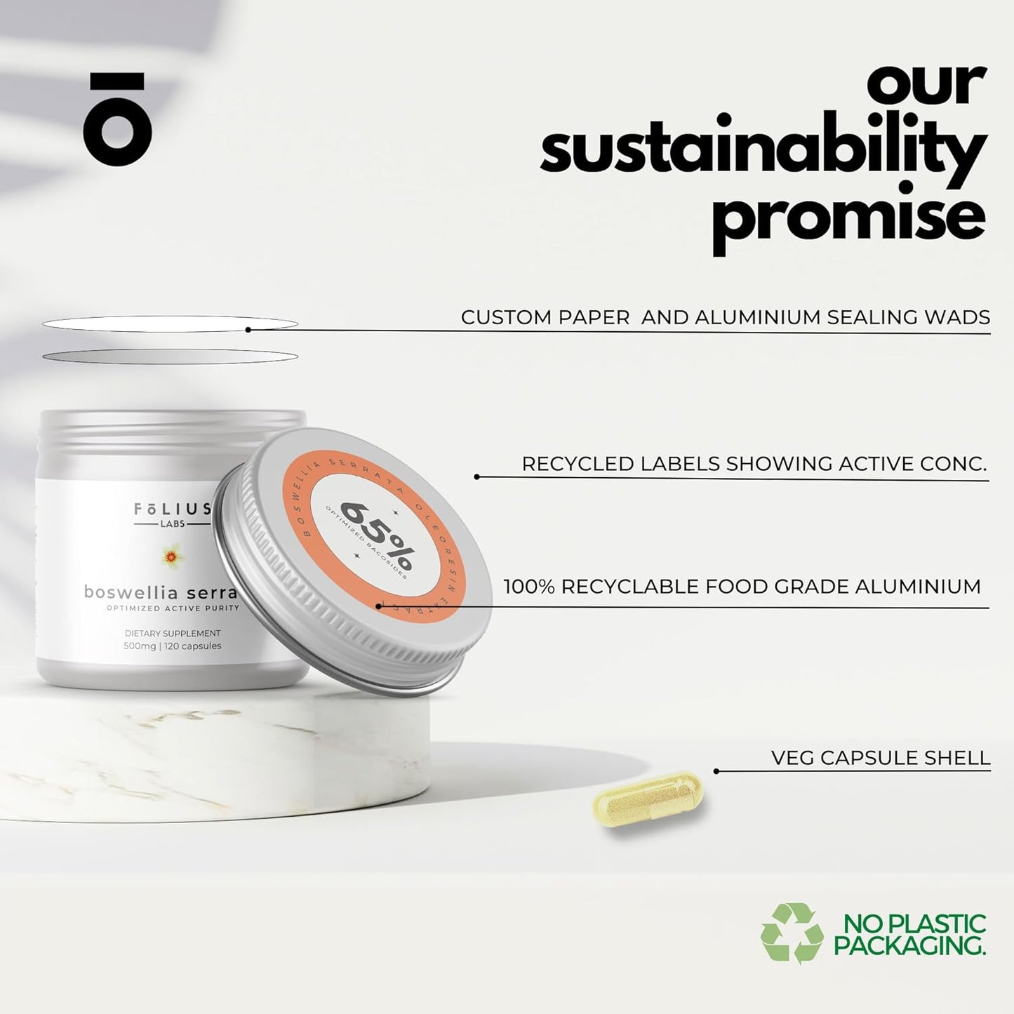 Boswellia Serrata Extract Supplement 500mg - Joint & Muscle Relief - 65% Boswellic Acids - 120 Capsules