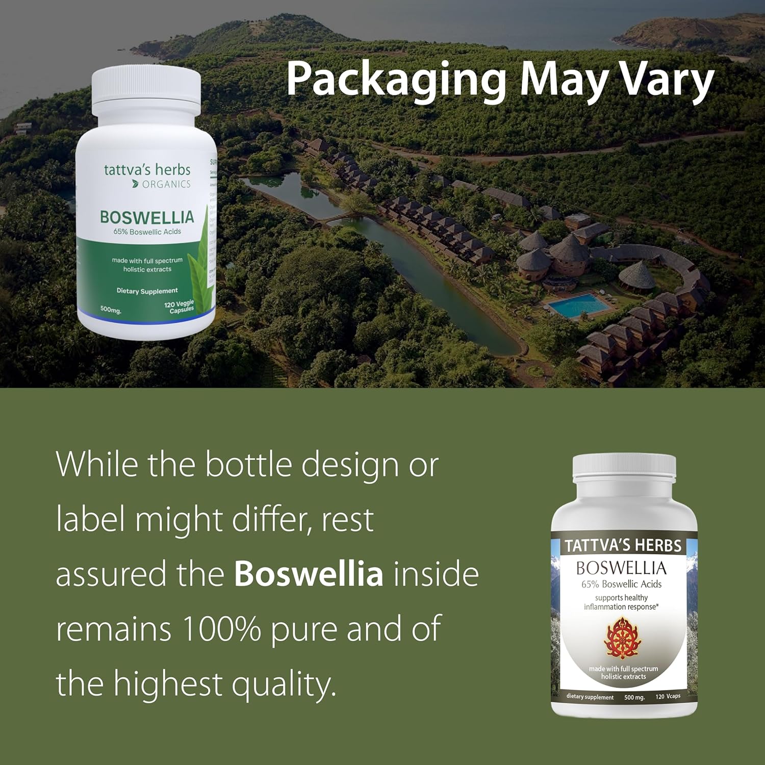 Boswellia Serrata Supplement Capsules for Joint Support - 120 Count, 500mg - CO2 Extract Powder - Tattva's Herbs Quality for 25 Years