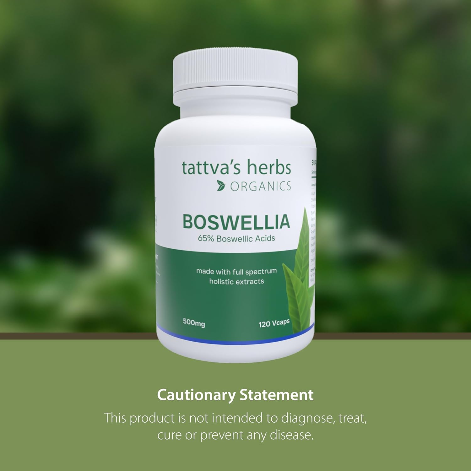 Boswellia Serrata Supplement Capsules for Joint Support - 120 Count, 500mg - CO2 Extract Powder - Tattva's Herbs Quality for 25 Years