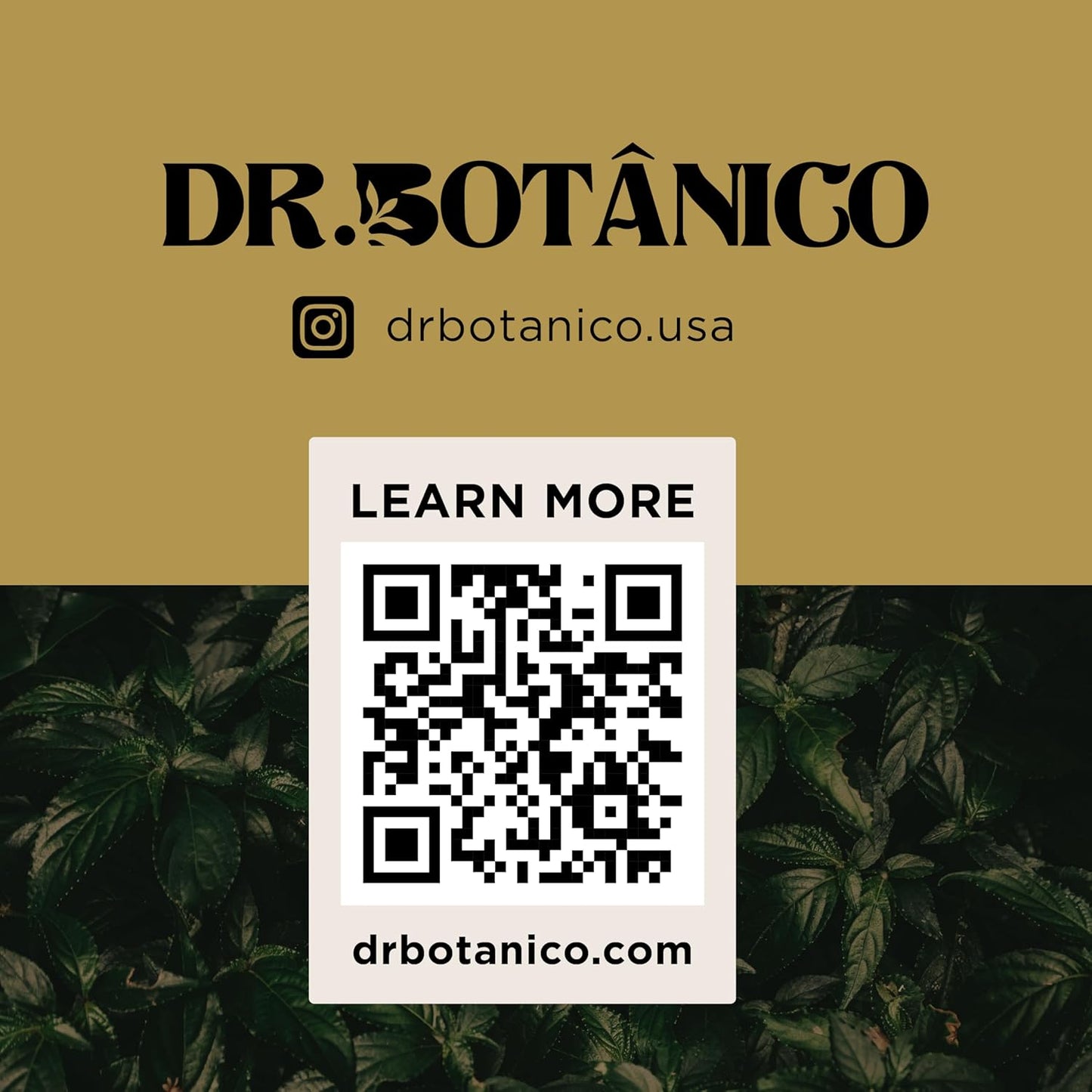 Botanical Doctor AÇAÍ Berry Supplement 800MG - 60 Capsules