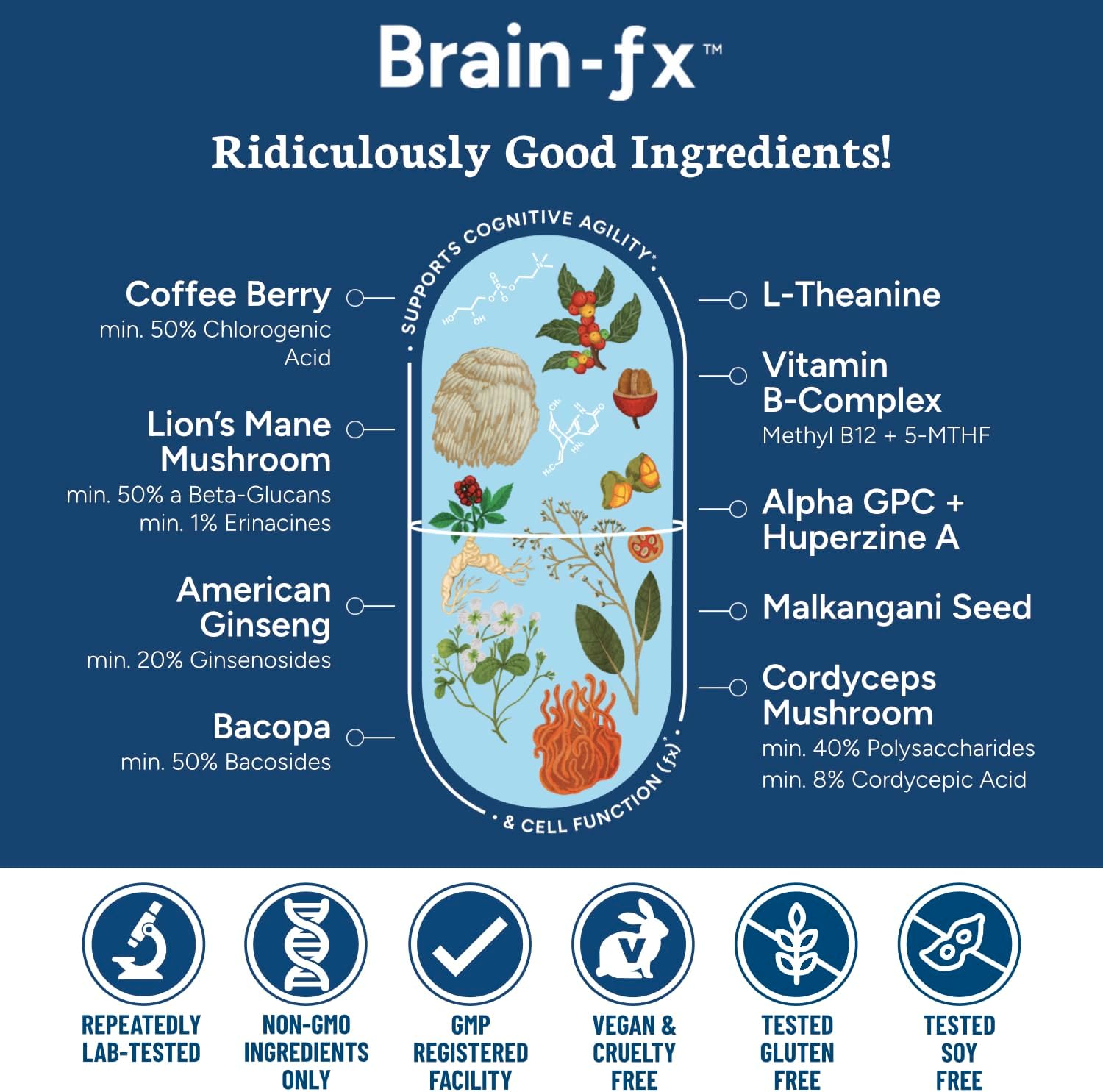 Brain-fx™ Nootropics Supplement with Lions Mane, L Theanine, and BDNF Factor for Memory and Focus Boost