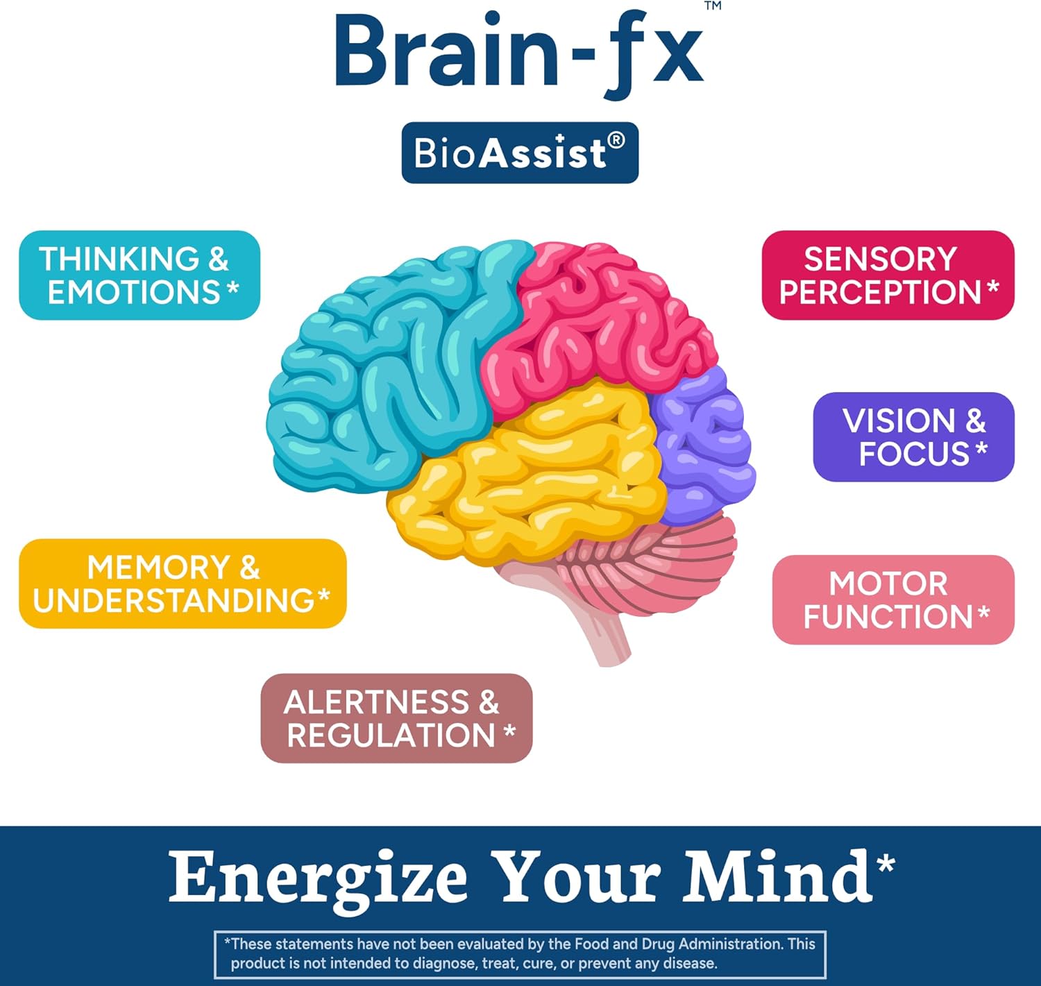 Brain-fx™ Nootropics Supplement with Lions Mane, L Theanine, and BDNF Factor for Memory and Focus Boost