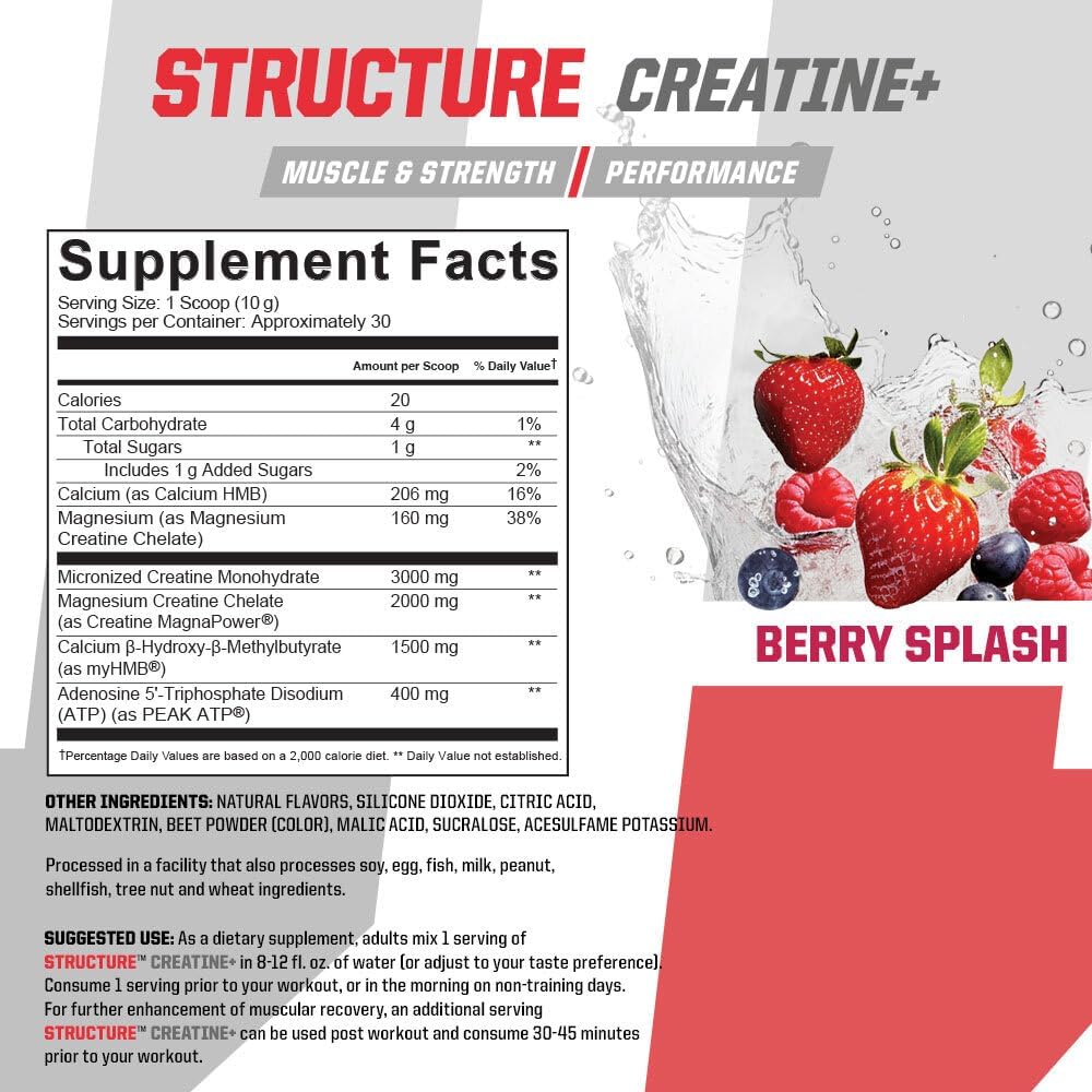 Brian Shaw's Undefined Nutrition Structure Creatine+ - Micronized Creatine Monohydrate with Magnesium Creatine Chelate, HMB, and Peak ATP for Strength, Power, and Recovery - 30 Servings (Berry Splash, 10.6oz)