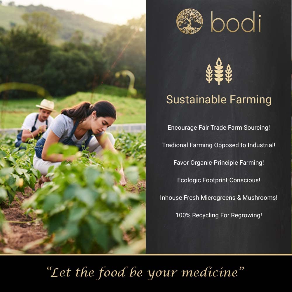 Bromelain Powder 2400gdu Extract - Pure Natural Chemical Free - Various Sizes Available