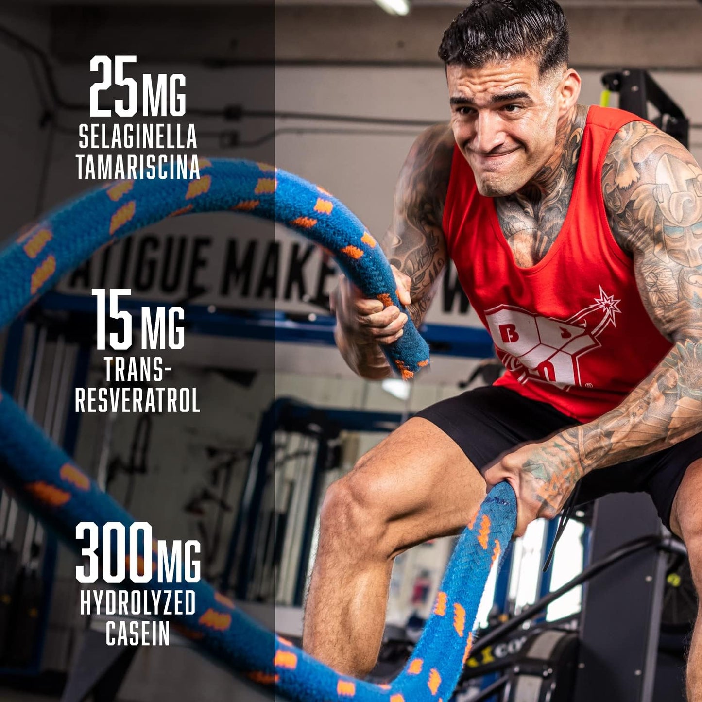 BSN N.O.-XPLODE Vaso Pre Workout Powder - Jungle Juice Flavor, 8g L-Citrulline, 3.2g Beta-Alanine, Energy Boost - 24 Servings