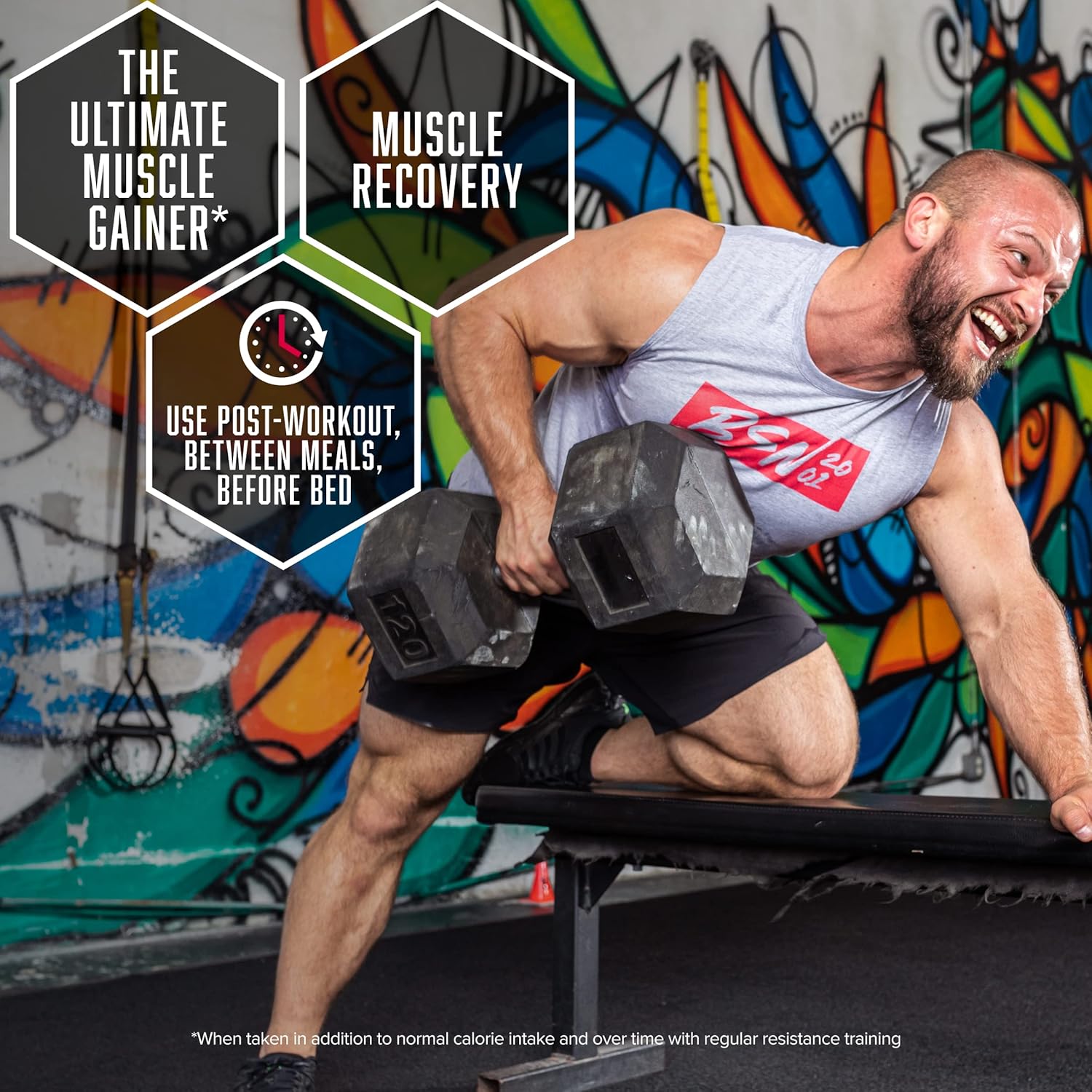 BSN TRUE-MASS Weight Gainer Chocolate Milkshake Protein Powder 10.38 Pound - Muscle Mass Gainer