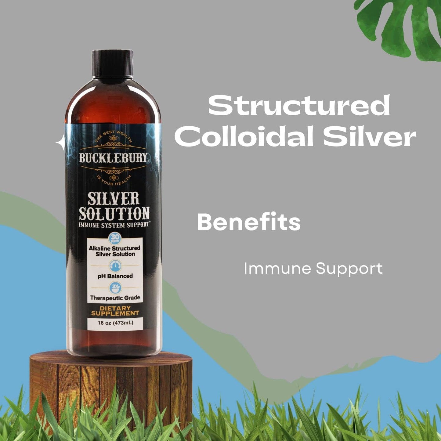 BUCKLEBURY pH Balanced Silver Solution - Alkaline Structured Liquid for Immune Support - 30ppm, 16 oz - Gluten Free