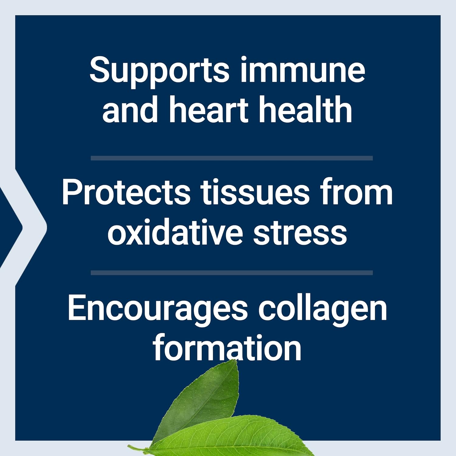 Buffered Vitamin C Powder with Minerals for Sensitive Stomachs - 454g, 84 Servings - Gluten Free, Non-GMO, Vegetarian