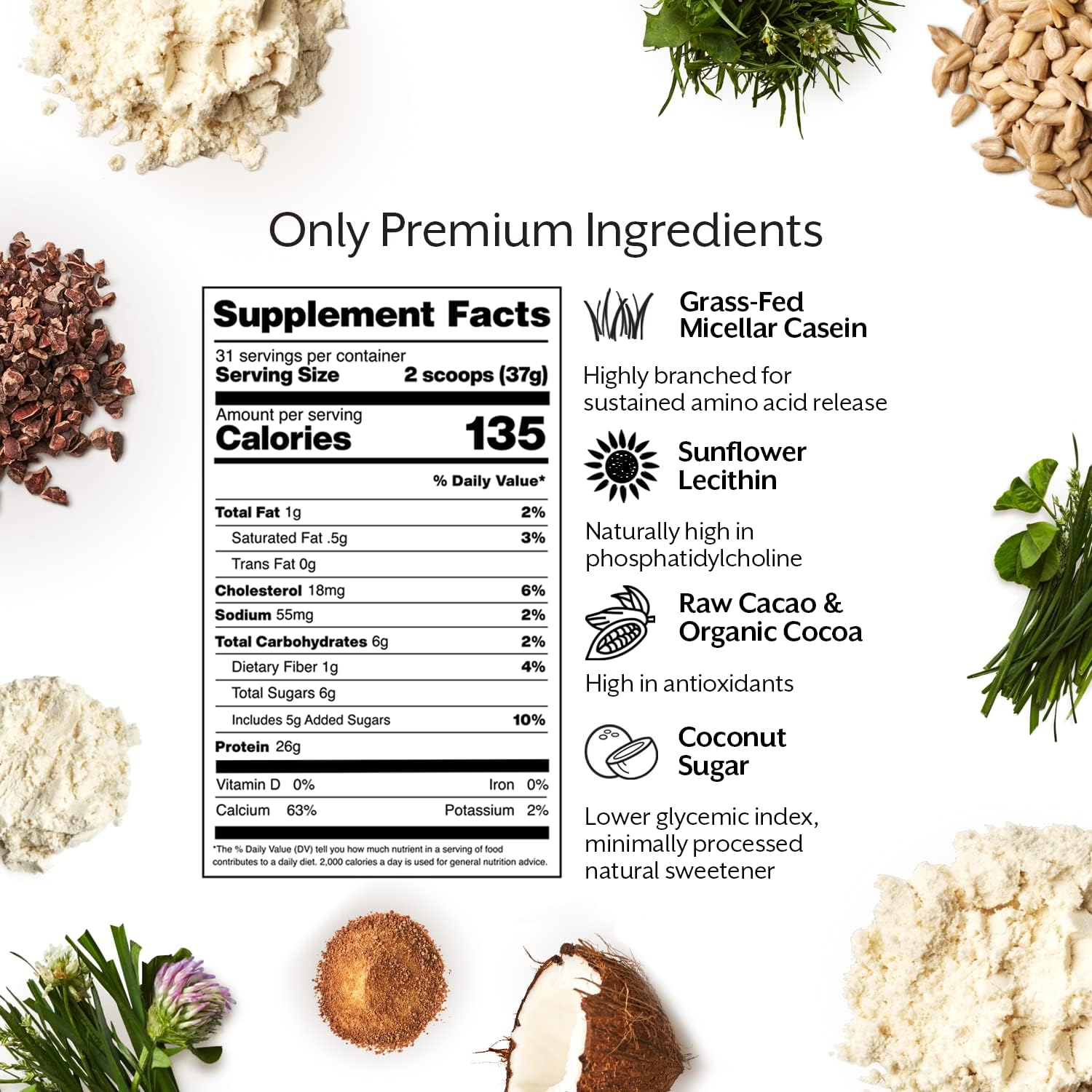 Bulk 5lb Chocolate Casein Protein Powder - Grass-Fed, All Natural, Gluten-Free - Slow Recovery for Post Workout Fitness