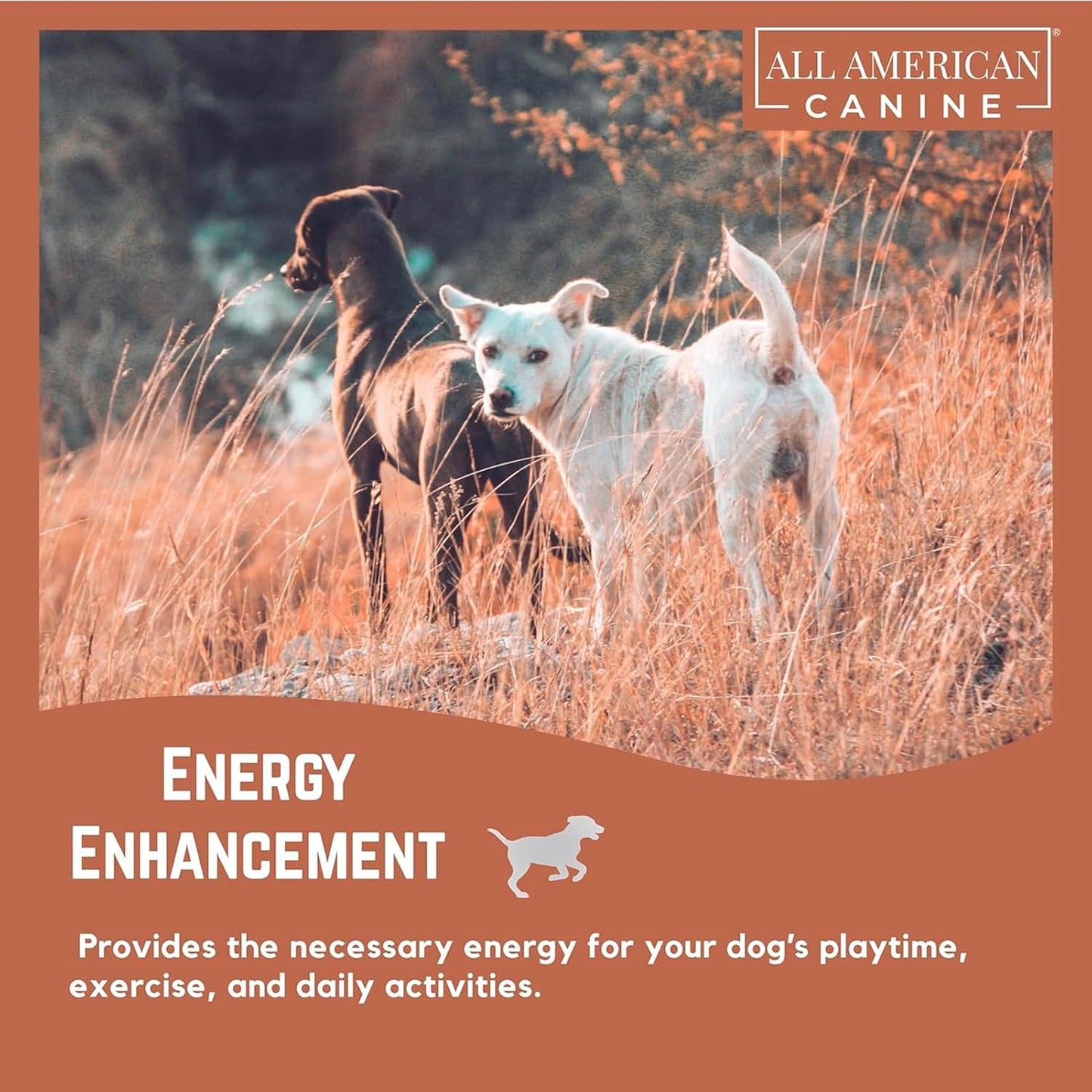 Bulk Dog Weight Gainer Supplement for Rapid Weight Gain and Recovery - High Calorie Protein Powder with Appetite Stimulant - 230 Servings