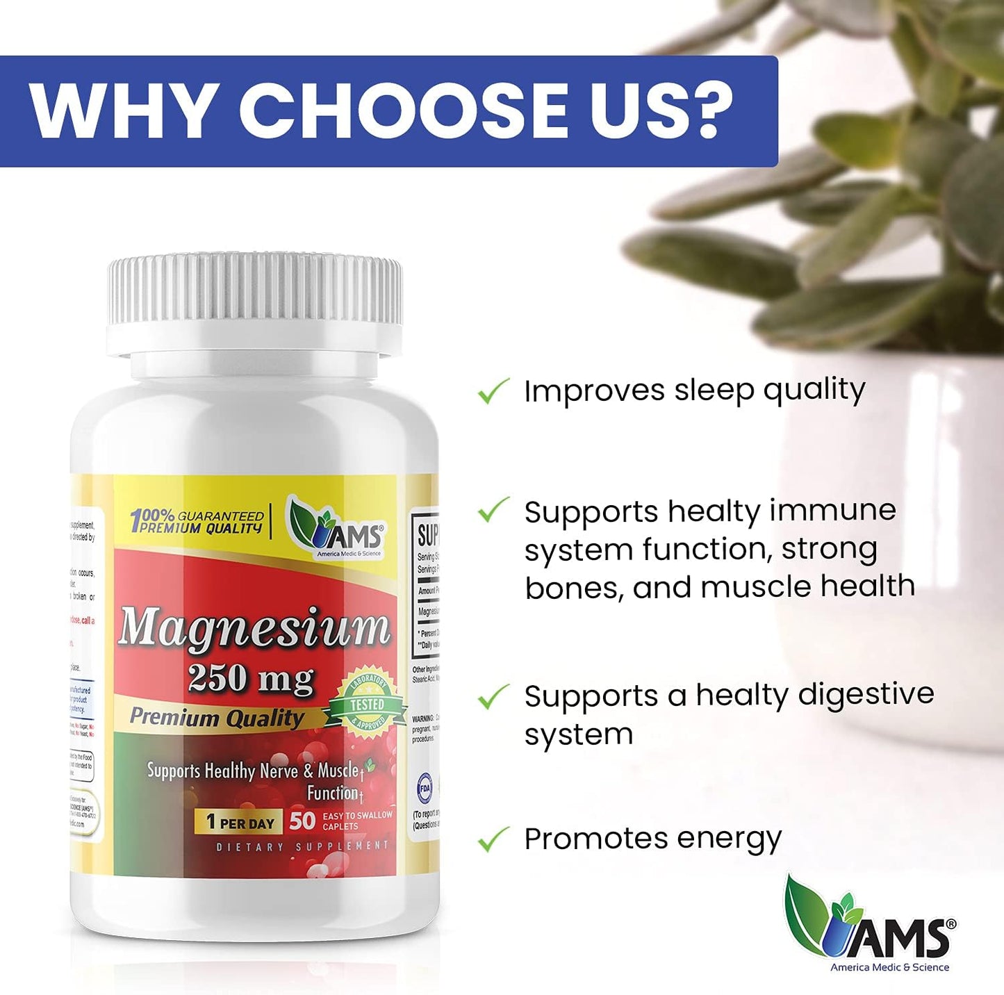 Bulk Pack of 450 America Medic & Science Magnesium 250 mg Caplets - Magnesium Oxide Supplement for Nerve and Muscle Health, Exercise Performance Boost