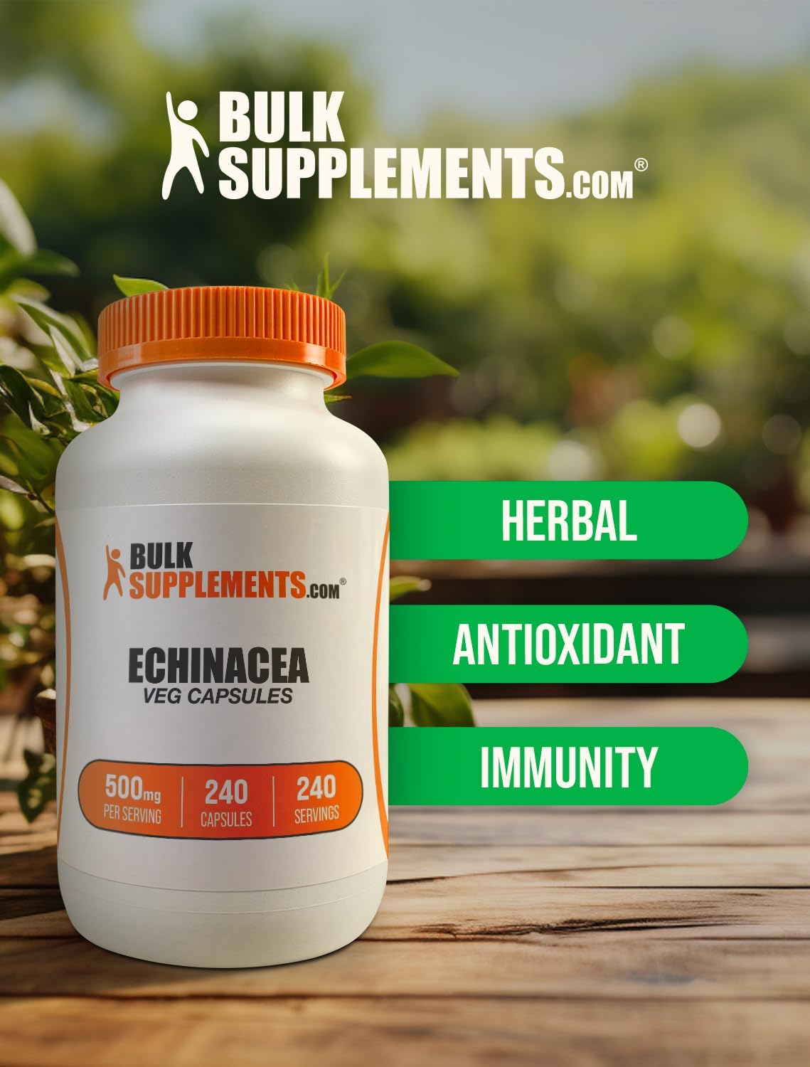 BulkSupplements.com Echinacea Extract Capsules - 500mg Immune Support Supplement, Gluten Free - 240 Capsules