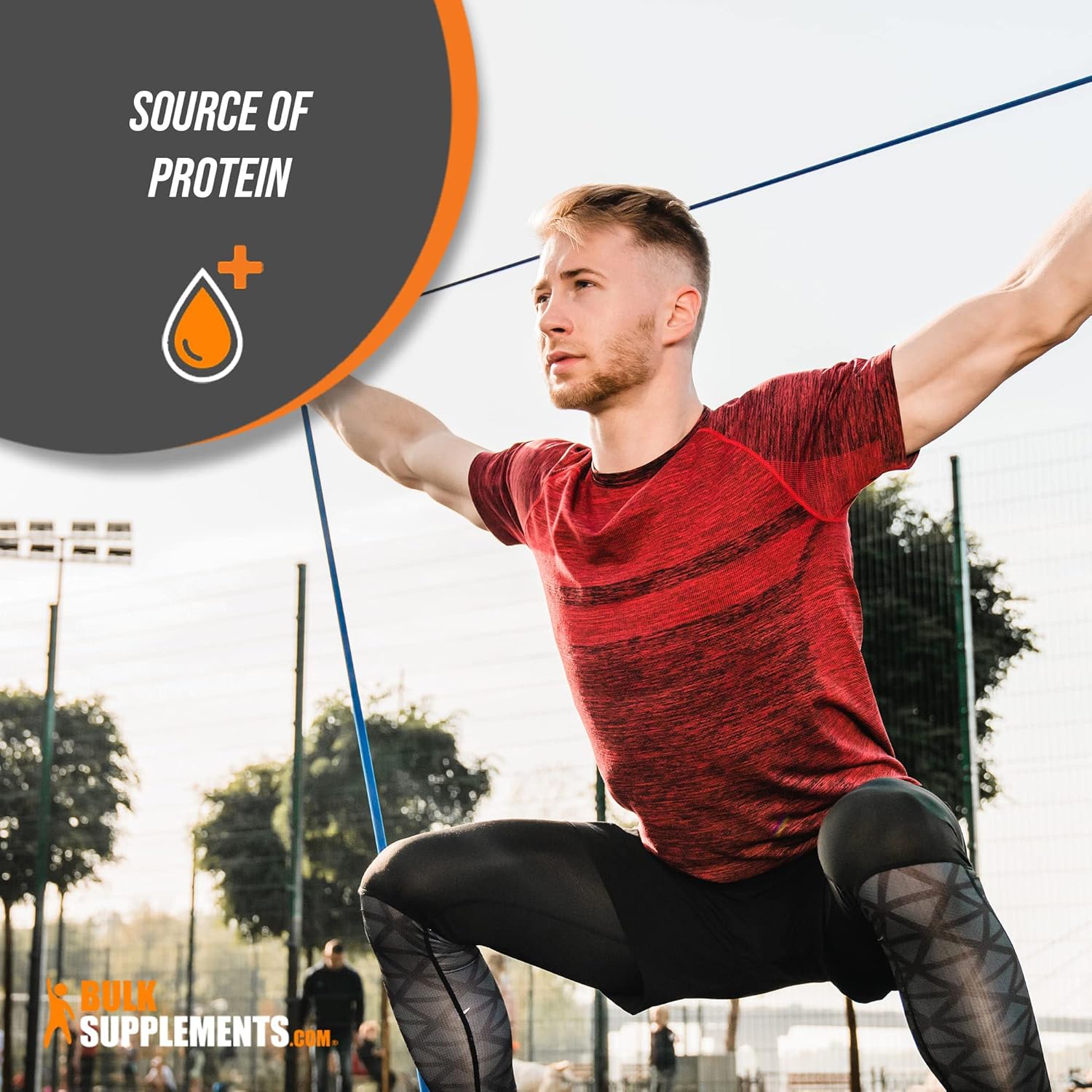 BulkSupplements.com White Kidney Bean Extract Powder - Digestive Support & Protein Source - Gluten Free - 1500mg per Serving - Pack of 5 - 5kg