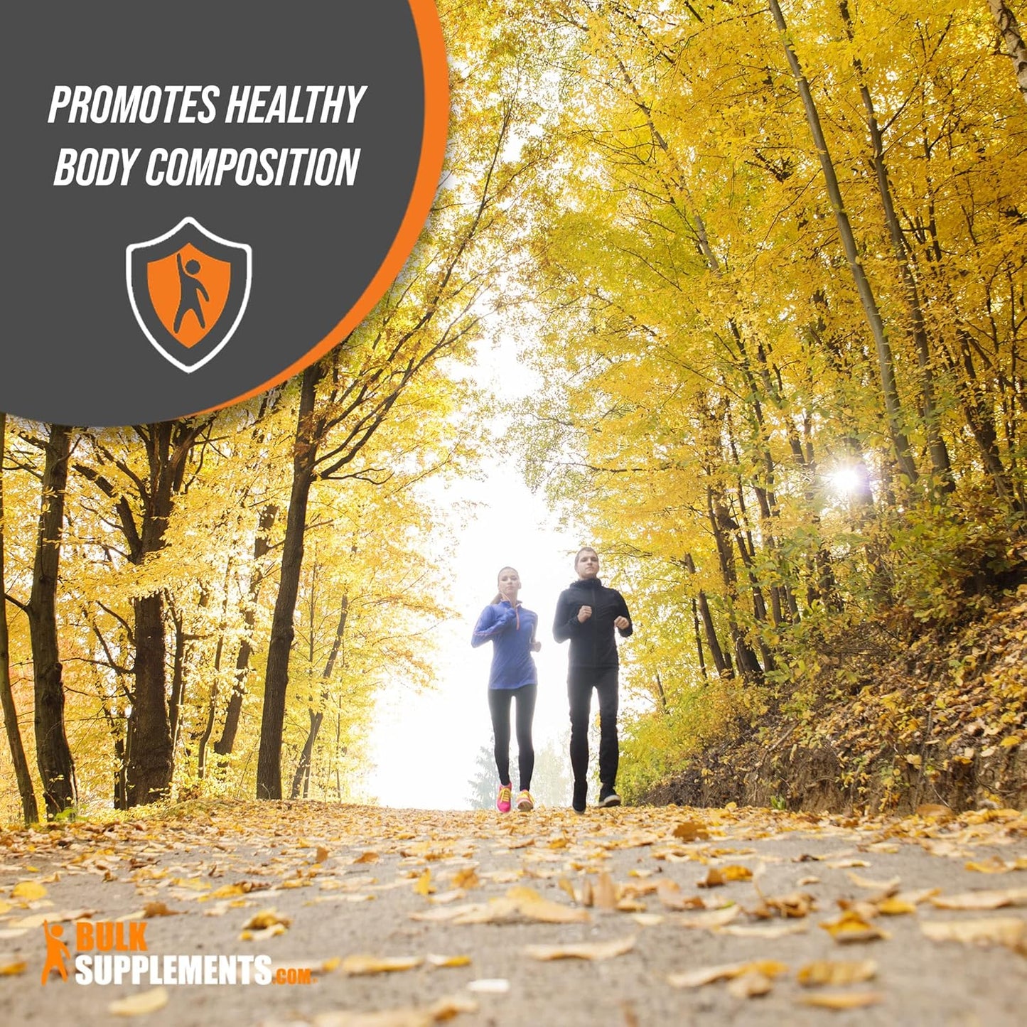 BulkSupplements.com White Kidney Bean Extract Powder - Digestive Support & Protein Source - Gluten Free - 1500mg per Serving - Pack of 5 - 5kg