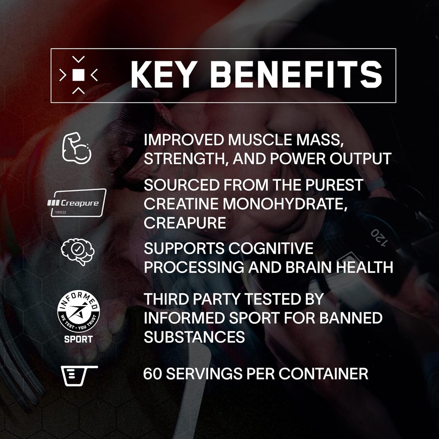 Bundle: BARE PERFORMANCE NUTRITION BPN Creatine Monohydrate & Strong Greens - Boost Performance and Health