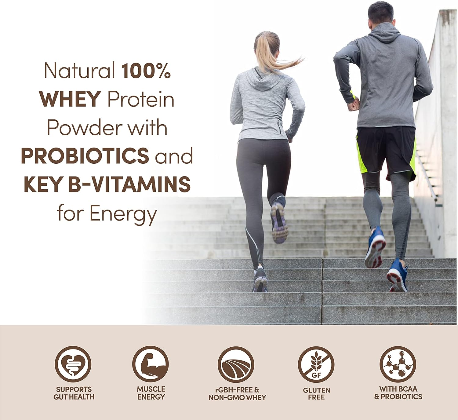 Bundle: Designer Wellness 2lb French Vanilla & Gourmet Chocolate Whey Protein - High Quality Ingredients for Health & Fitness