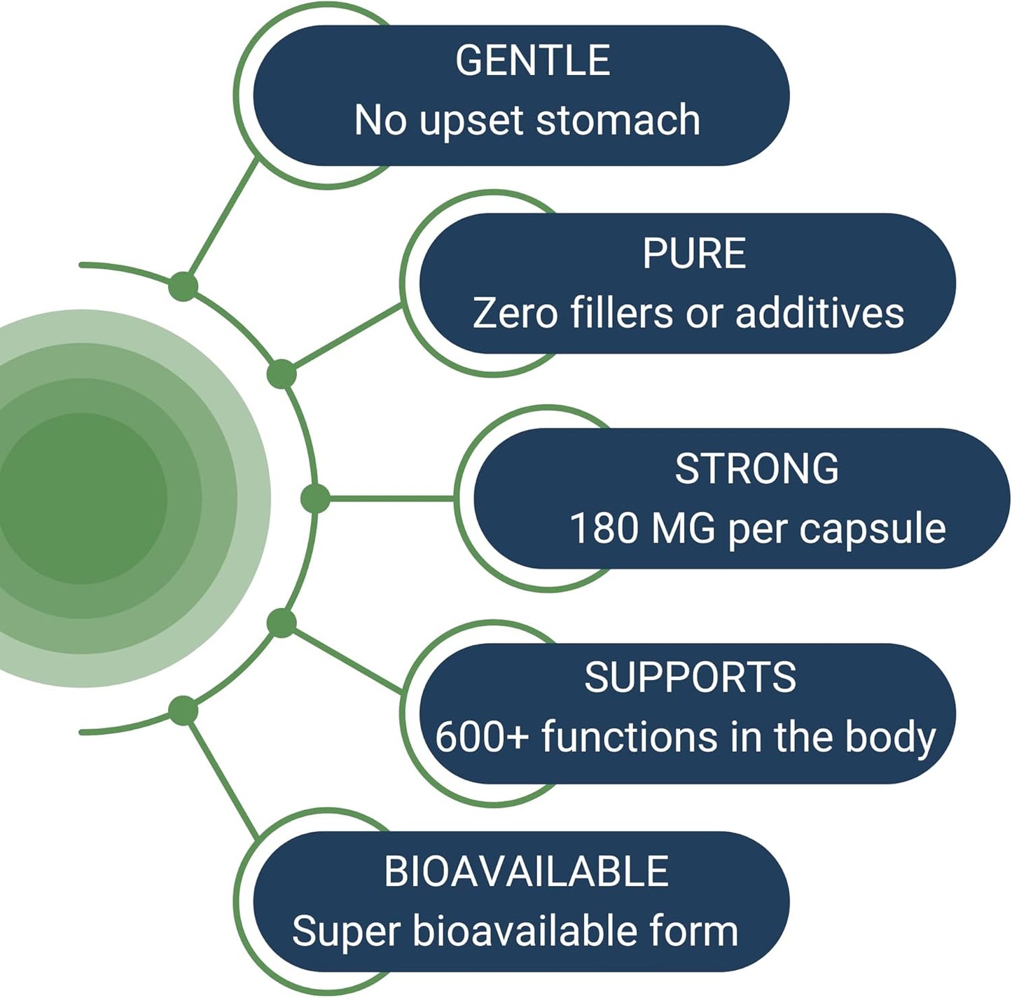 Bundle: HoloZyme Digestive Enzymes & Magnesium-HP | 90 Servings & 60 Servings