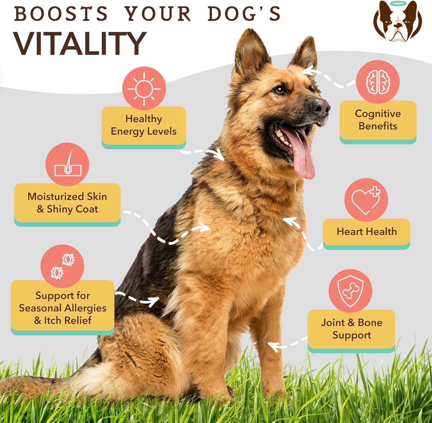 Bundle: Natural Dog Company Canine Vitality Dog Vitamins & Supplements - Hip & Joint Chews + Ultra Omega Fish Oil for Dogs