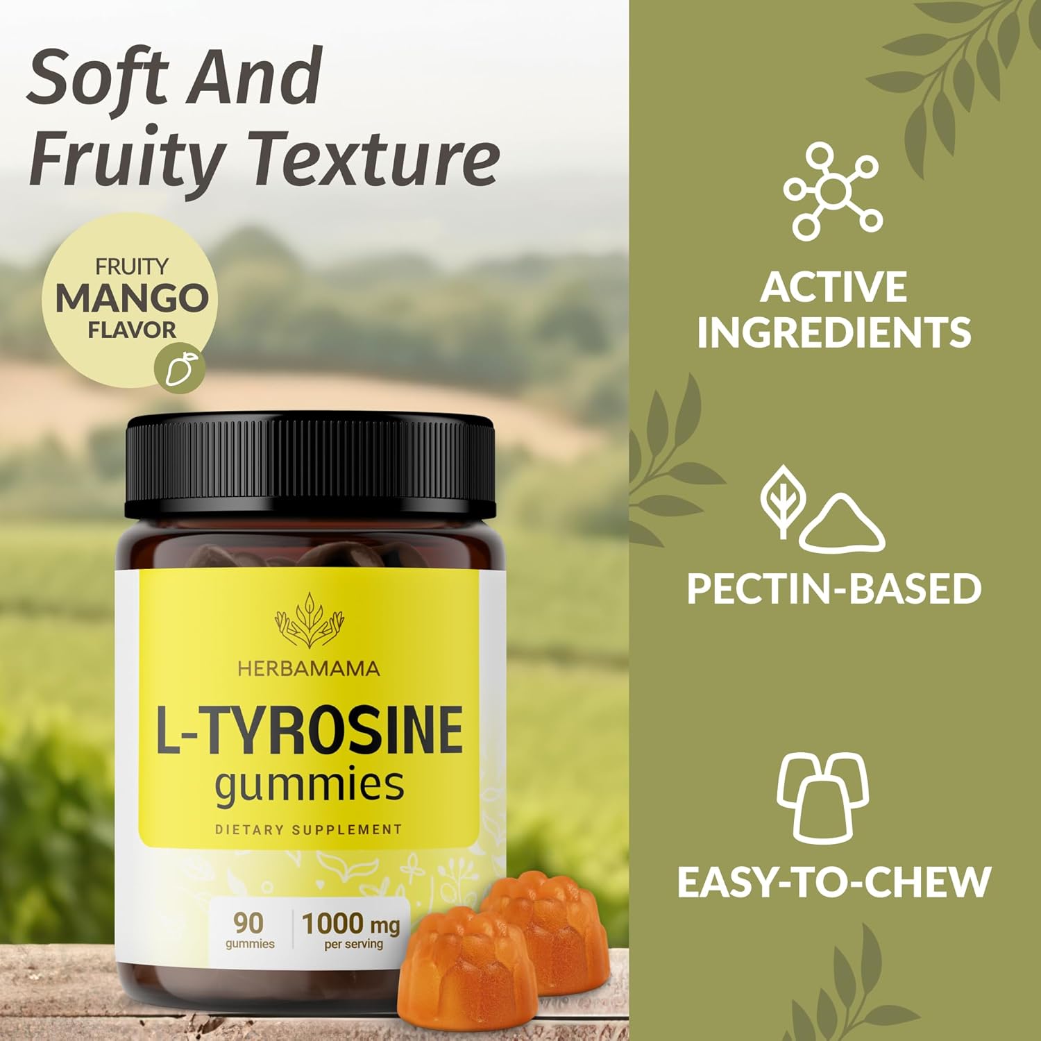 Bundle of HERBAMAMA L-Tyrosine and Brain Support Gummies - 200mg 5-HTP & 1000mg L-Tyrosine - Vegan, Non-GMO - 2 Pack