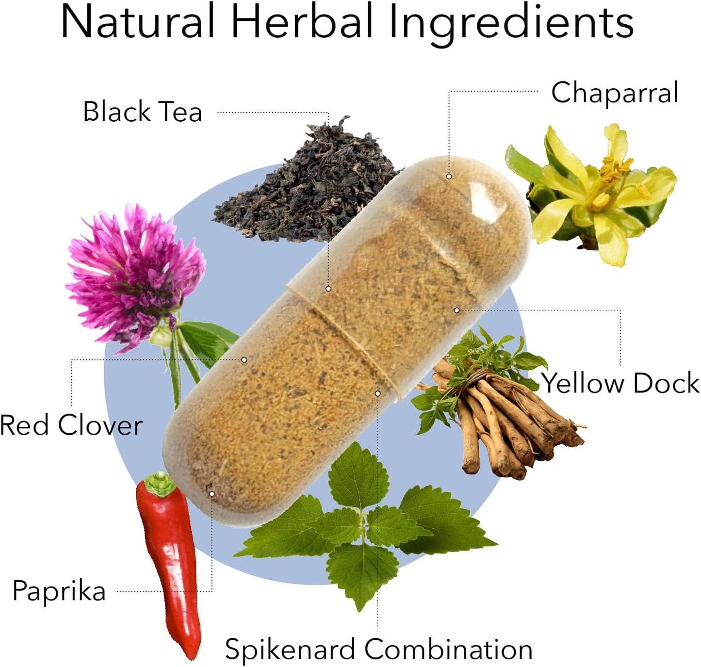 Bundle of Kroeger Herb Products Wormwood and Chem X - Natural Herbal Remedies for Digestive Health and Immune Support