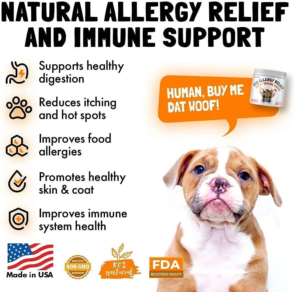 Bundle of LEGITPET Allergy Relief Chews & Immune Support with Probiotics and Enzymes for Dogs - 120 Soft Chews, Made in USA