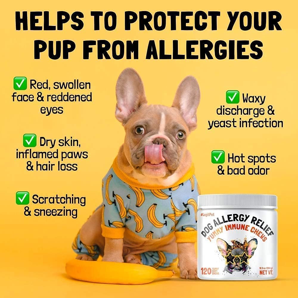 Bundle of LEGITPET Allergy Relief Chews & Immune Support with Probiotics and Enzymes for Dogs - 120 Soft Chews, Made in USA