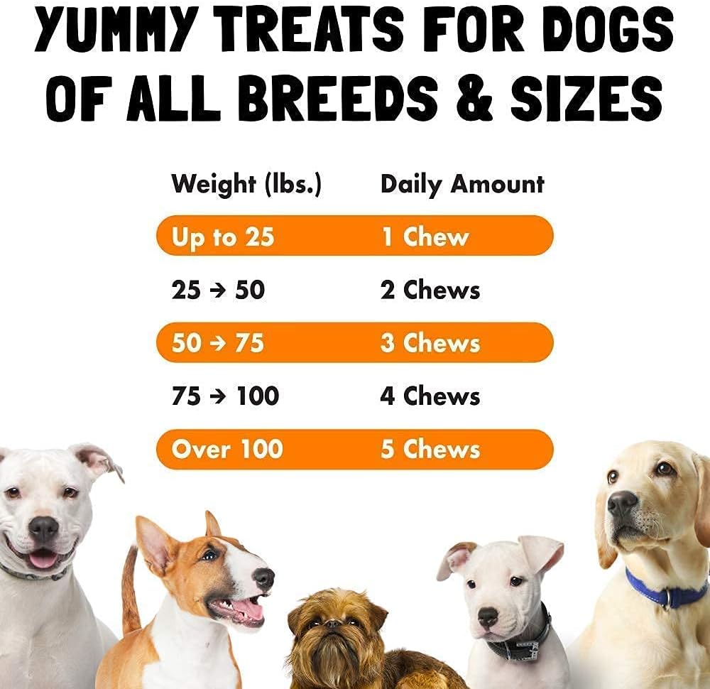 Bundle of LEGITPET Allergy Relief Chews & Immune Support with Probiotics and Enzymes for Dogs - 120 Soft Chews, Made in USA