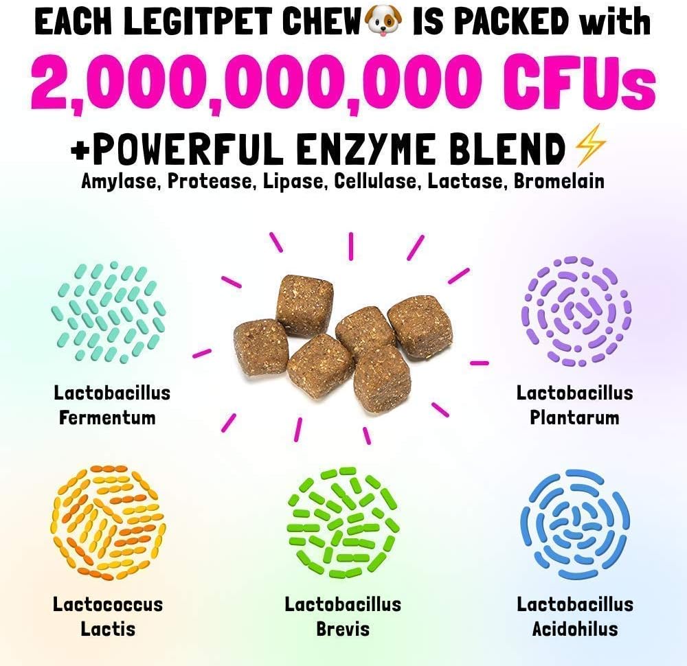 Bundle of LEGITPET Allergy Relief Chews & Immune Support with Probiotics and Enzymes for Dogs - 120 Soft Chews, Made in USA