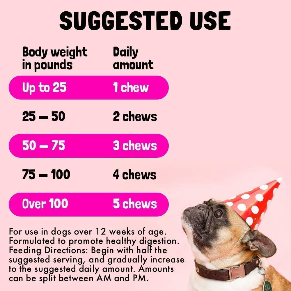 Bundle of LEGITPET Allergy Relief Chews & Immune Support with Probiotics and Enzymes for Dogs - 120 Soft Chews, Made in USA