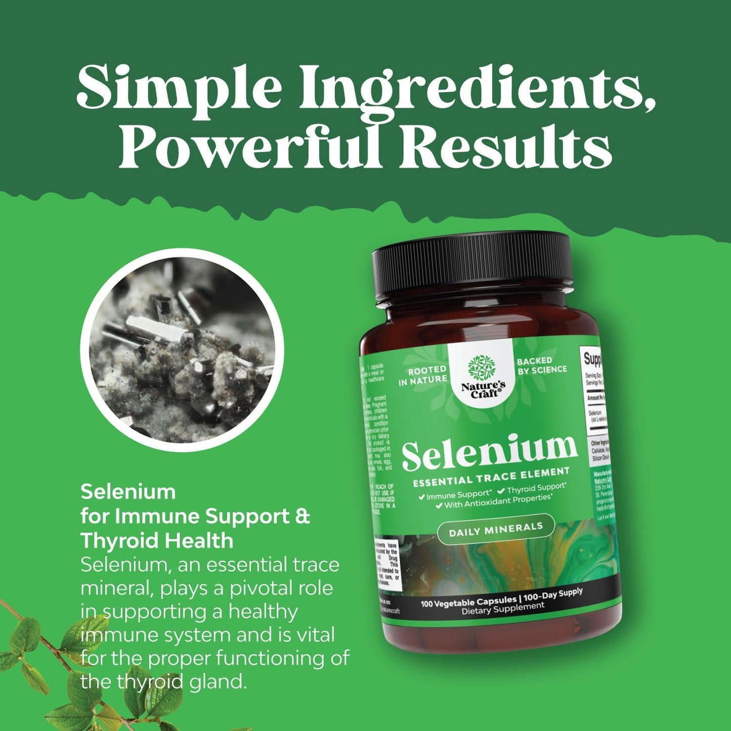 Bundle of Natural Anti Aging Trans Resveratrol & Pure Selenium Thyroid Support - Joint & Immune Booster for Adults