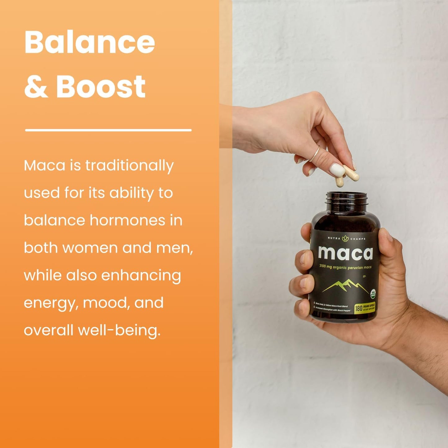 Bundle of NutraChamps Maca Root Capsules and 10-in-1 Mushroom Powder for Mood, Cognition, and Energy Boost