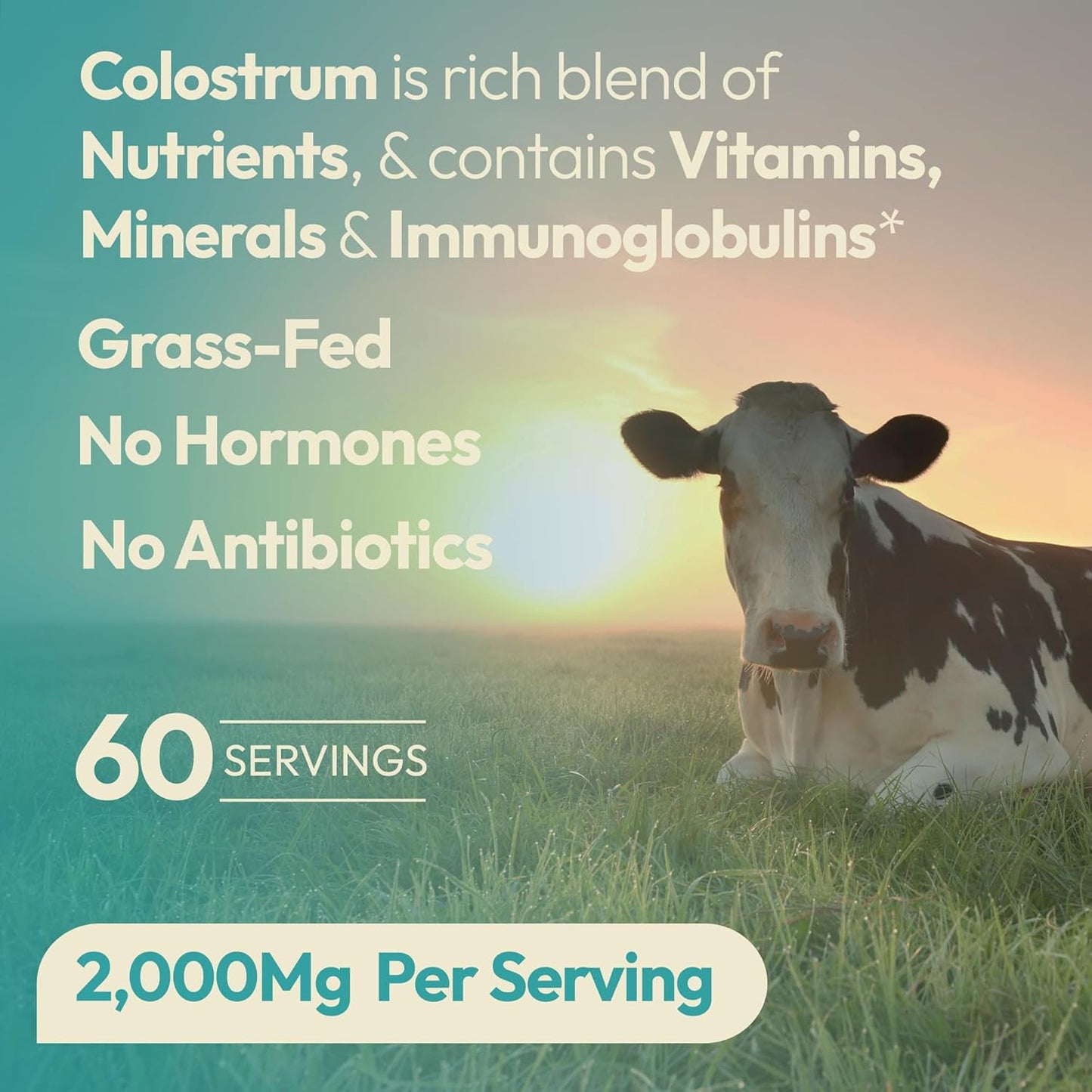 Bundle of OX OXNUTRITION Multi Collagen Capsules and Grassfed Bovine Colostrum for Joint Health and Gut Support
