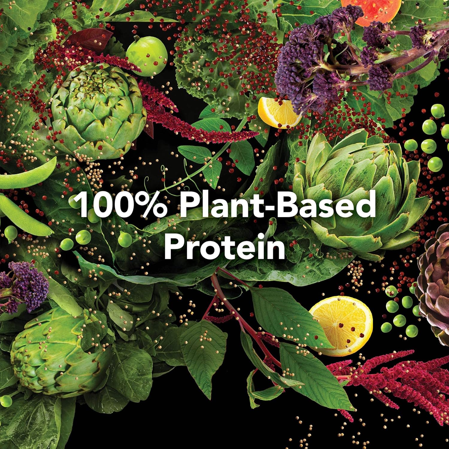 Bundle: PlantFusion Complete Meal - Vegan Pea Protein Powder, Gluten Free, Non-Dairy, Non-GMO - Vanilla & Chocolate Caramel 1 LB