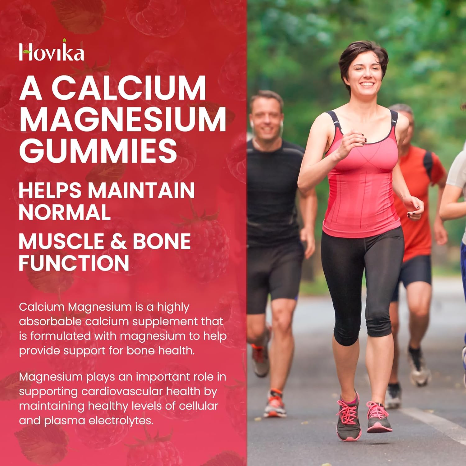 Calcium Magnesium Zinc Gummies with Potassium Vitamin C, B6, D3, K2 - Multi Vitamin Supplement for Bones, Muscles, Teeth, Calm, Mood - 2 Pack - 60 Count